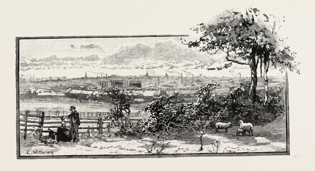 Detail of Northampton by Anonymous