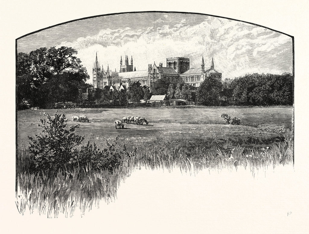 Detail of Peterborough Cathedral by Anonymous