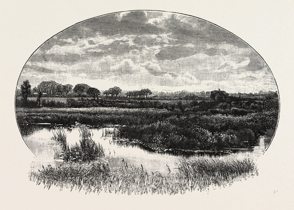 Detail of A Norfolk Broad by Anonymous