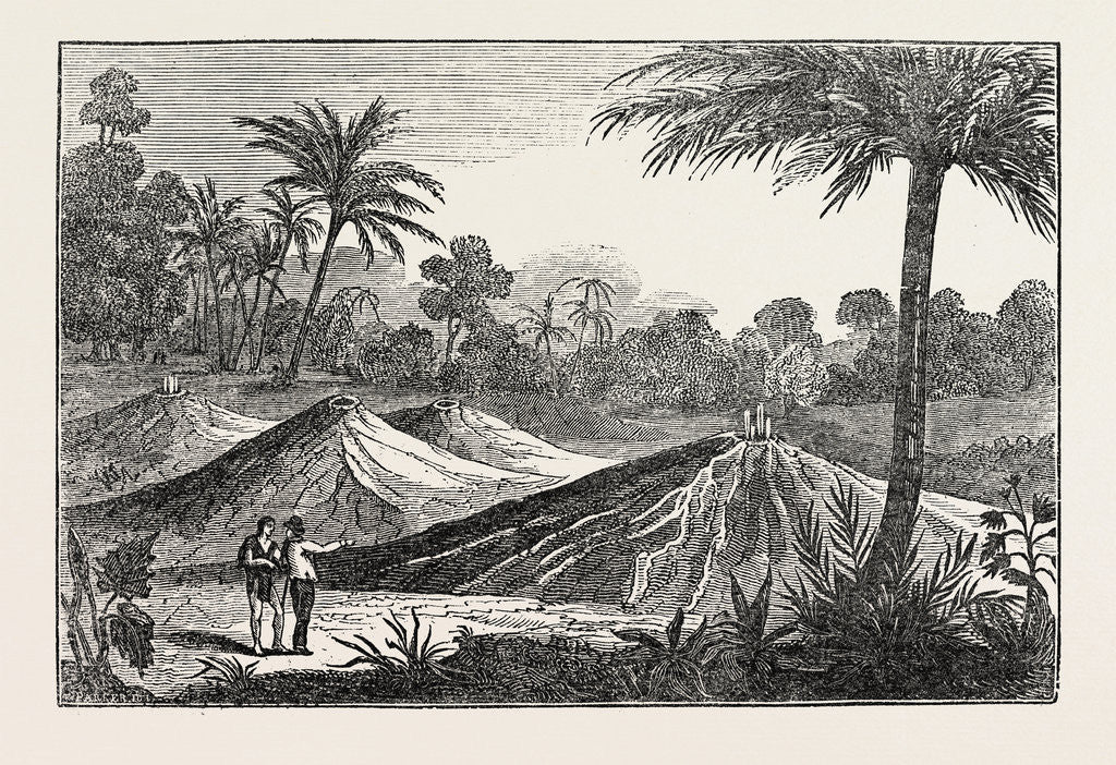 Detail of The Air Volcanoes of Turbaco, a Municipality in the Bolívar Department of Colombia. by Anonymous