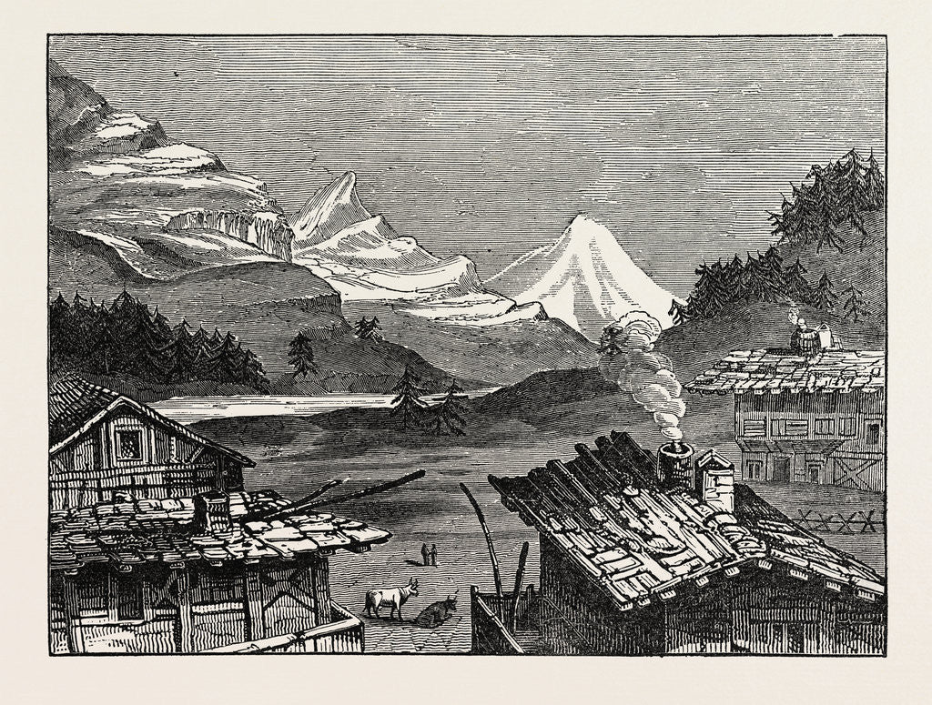 Detail of Valley of the Rhinwald, in the Snowy Alps. Europe by Anonymous