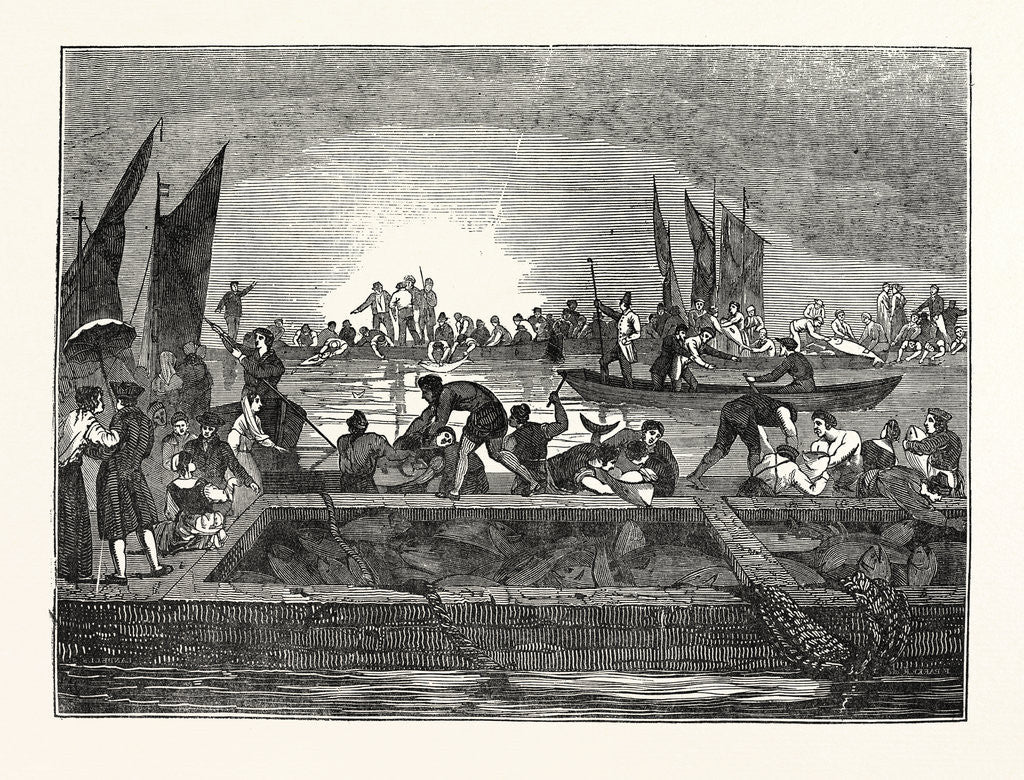 Detail of The Tunny Fishery by Anonymous