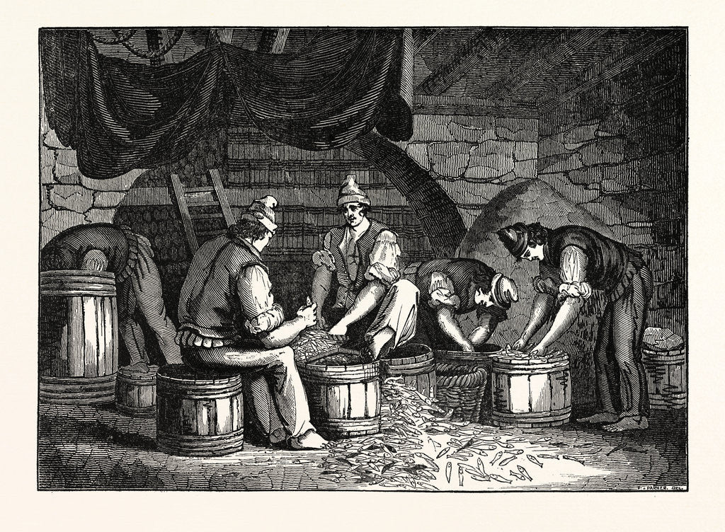 Detail of Method of Curing Anchovies in Sicily Italy by Anonymous