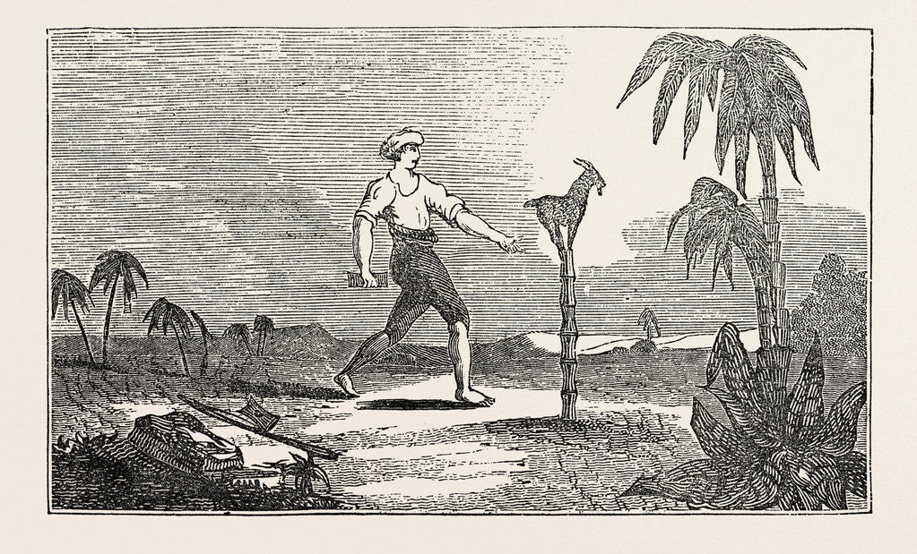 Detail of Singular Dexterity of a Goat by Anonymous