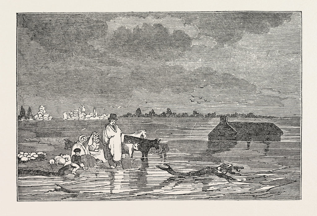 Detail of Funns and His Family in the Flood by Anonymous