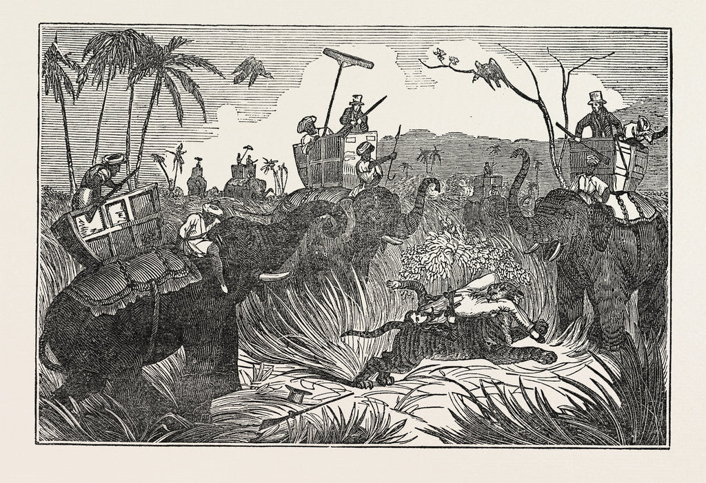 Detail of Tiger Retreating Into the Jungle. by Anonymous