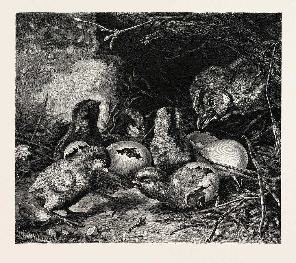 Detail of An Interesting Crisis by Anonymous