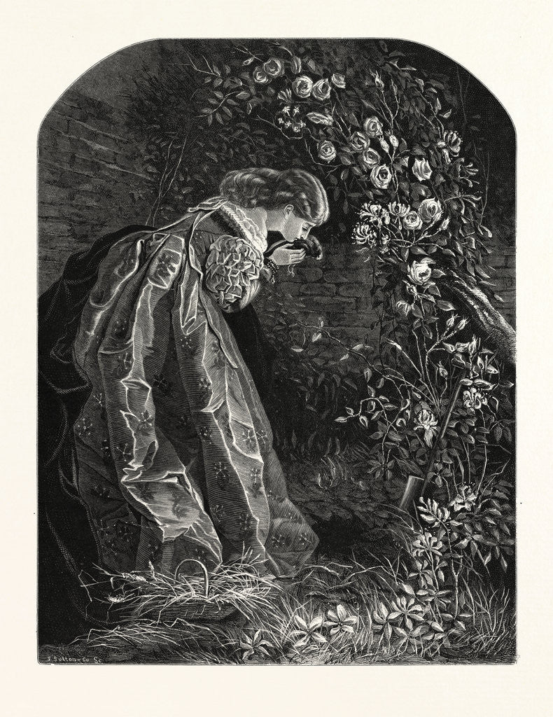 Detail of Burying the Pet Bird by Anonymous