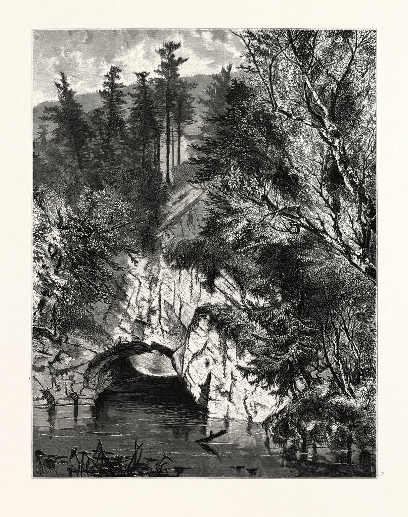 Detail of Sinking Spring (Inlet) by Anonymous