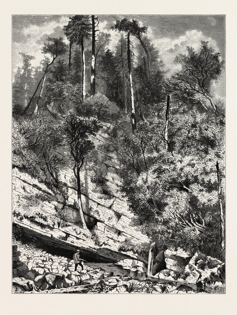 Detail of Sinking Spring (Outlet) by Anonymous