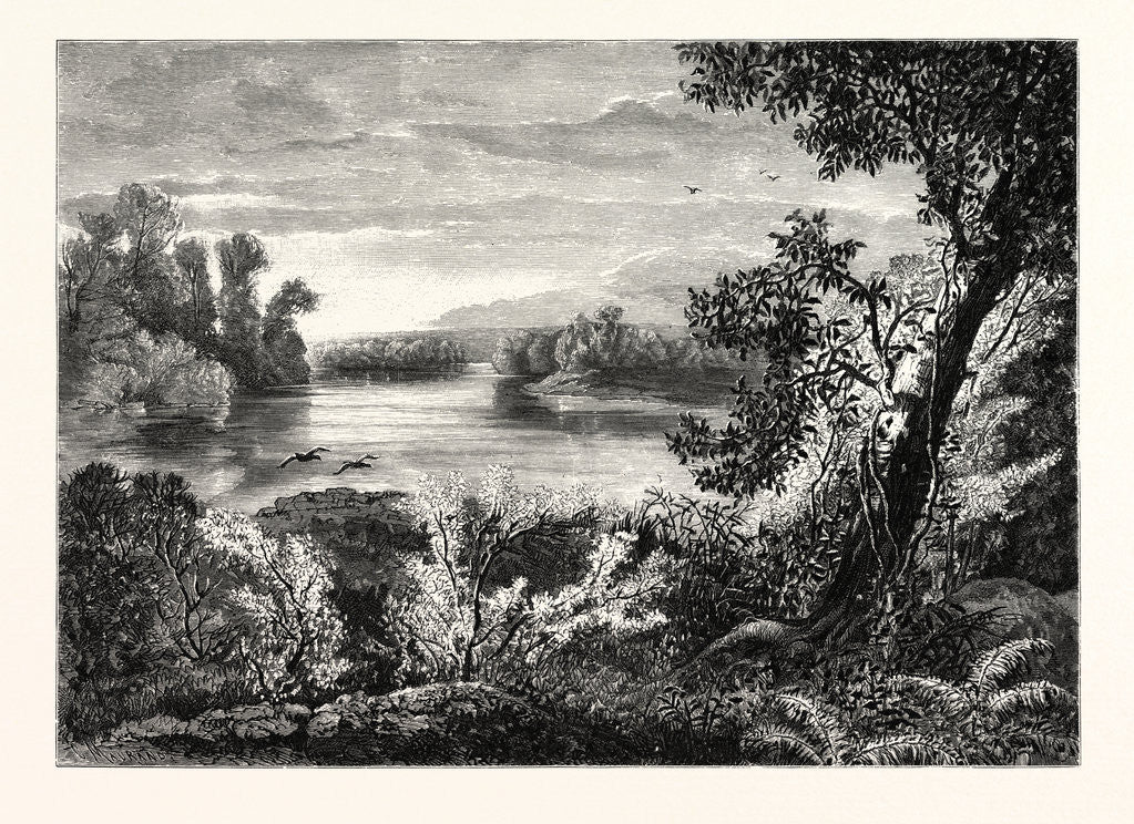 Detail of Juniata River, Near Lewistown by Anonymous