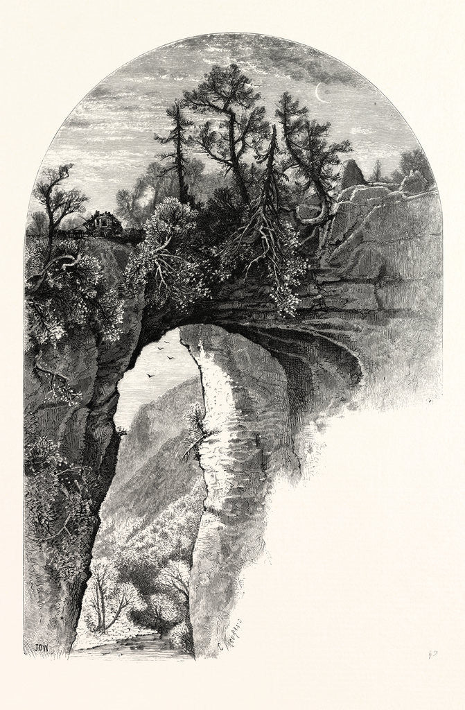 Detail of Natural Bridge, Virginia by Anonymous