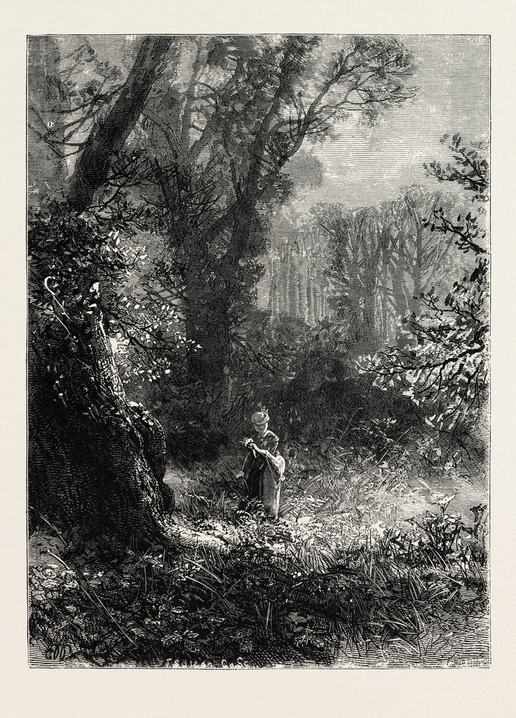 Detail of A Watching, As in Childhood, for the Flowers that One by One Open Their Golden Petals to Woo the Fitful Sun by Anonymous