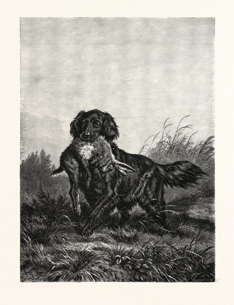 Detail of A Retriever by Anonymous
