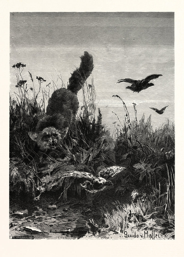 Detail of Almost a Dinner! by Anonymous