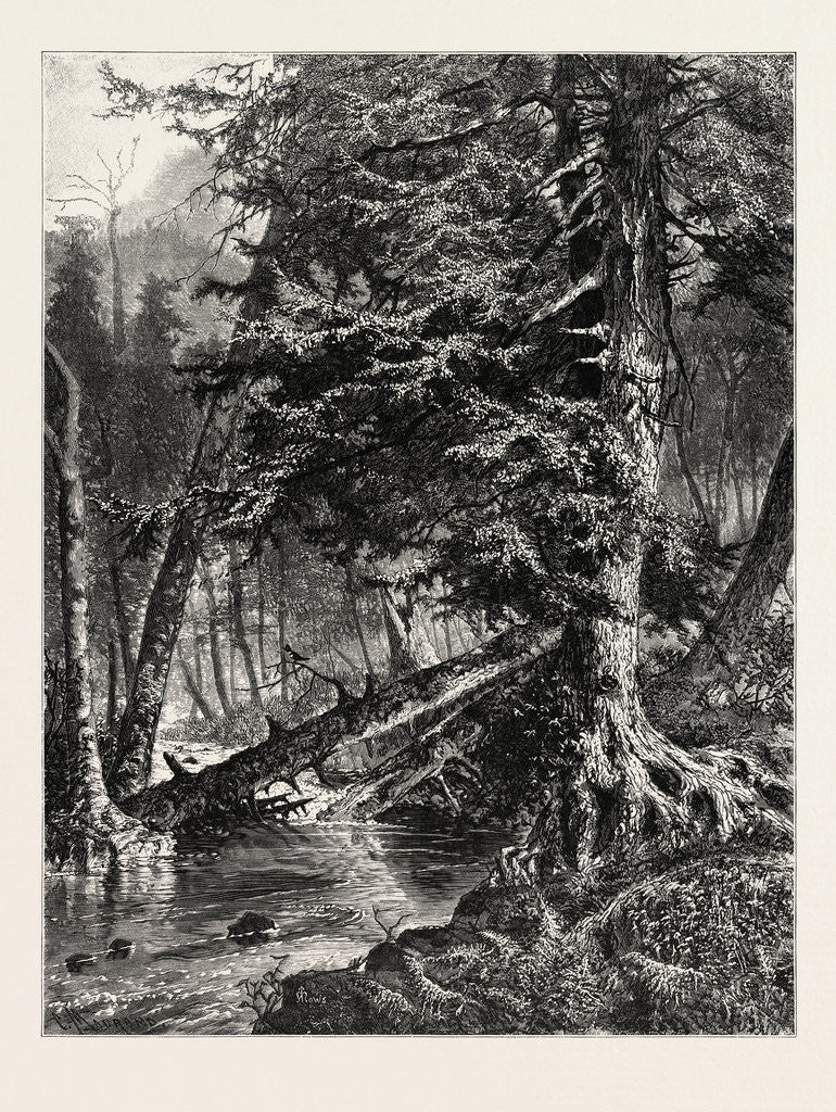 Detail of Kettle Run, Altoona by Anonymous