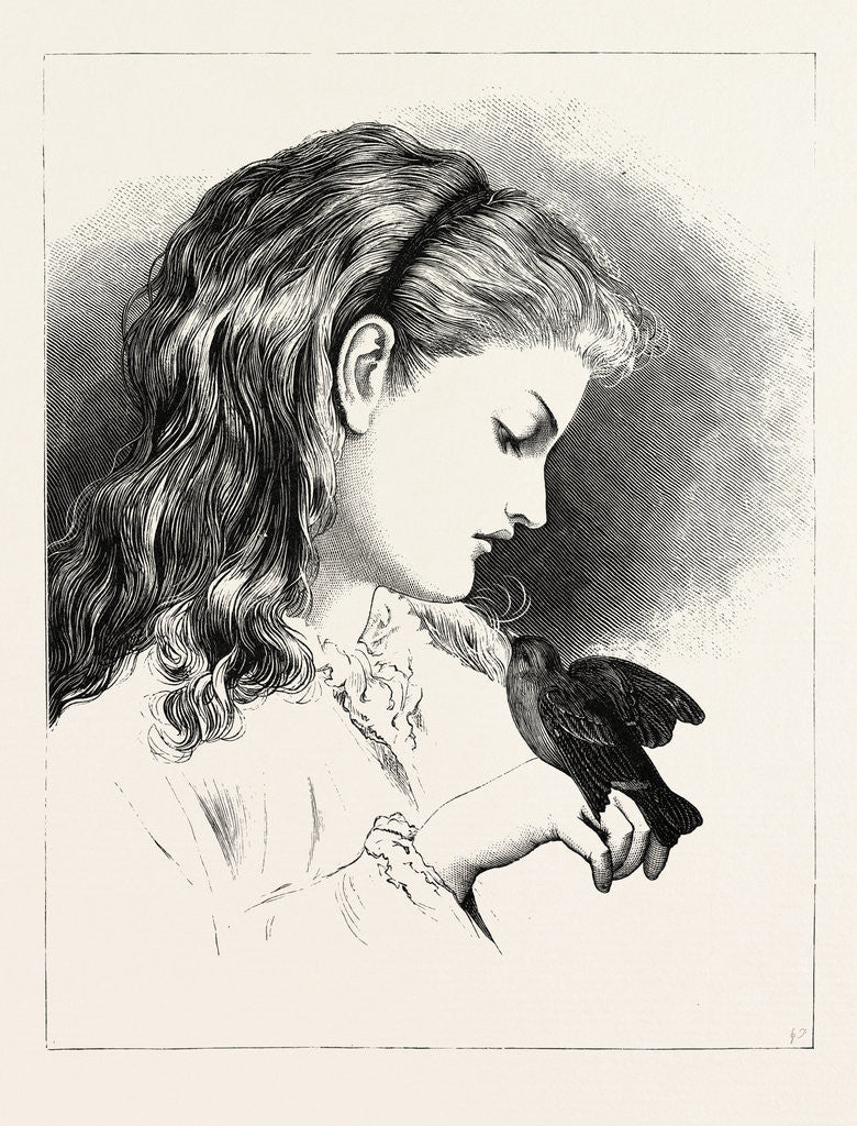 Detail of Our Pet! by Anonymous