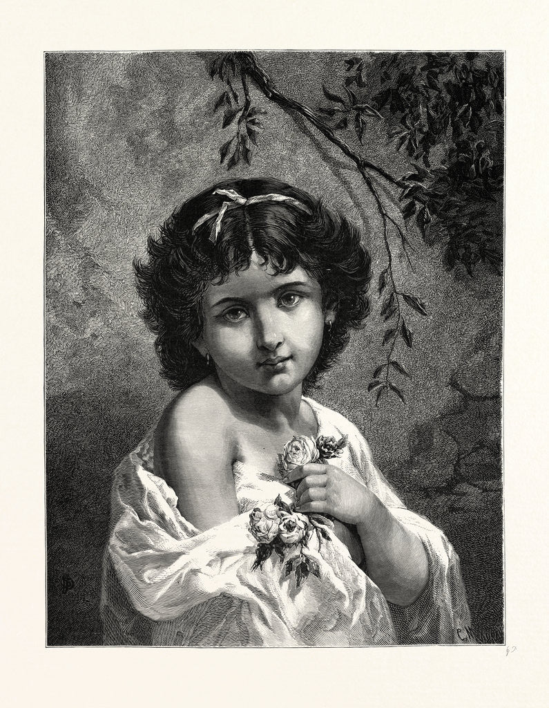 Detail of Little Rose by Anonymous