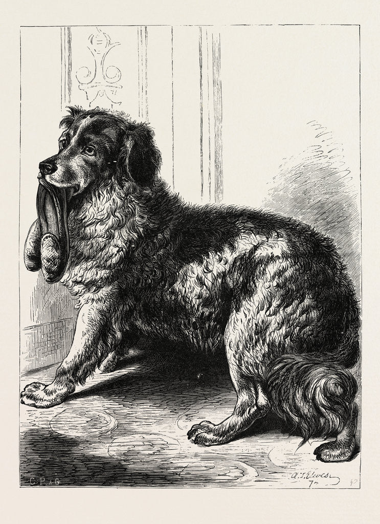 Detail of Master's Slippers by Anonymous