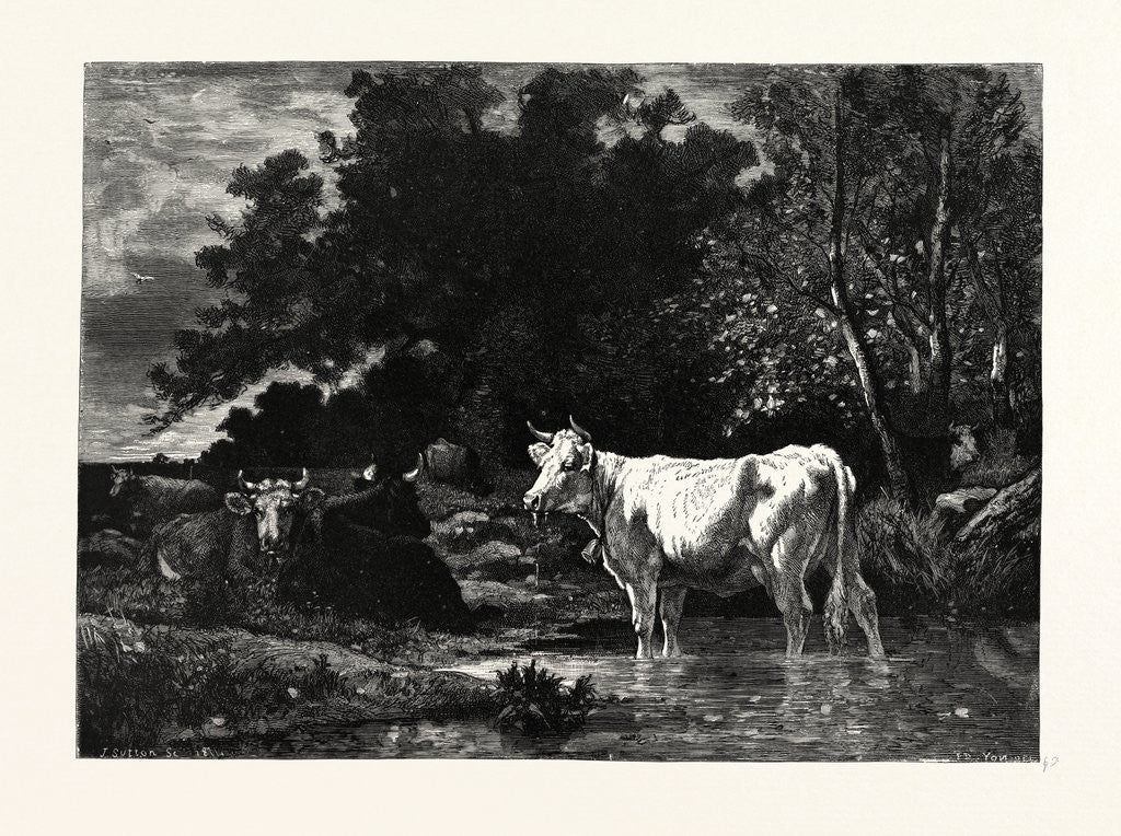 Detail of The Woodside Brook by Anonymous