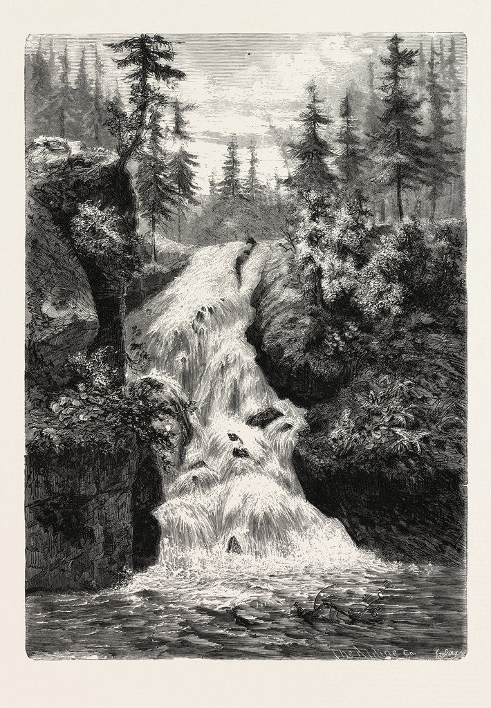 Detail of The Zackenfall, Bohemia. by Anonymous