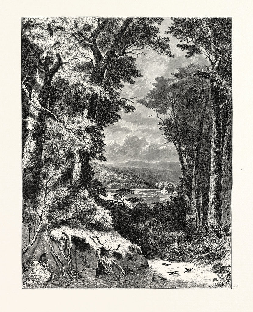 Detail of Valley of the Kiskiminetas by Anonymous