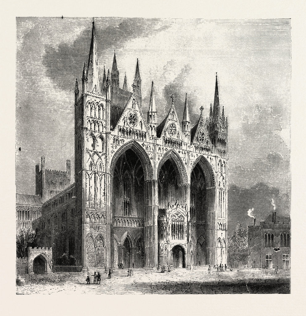 Detail of Peterborough Cathedral by Anonymous
