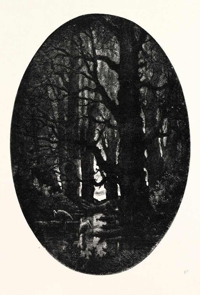 Detail of How Many Centuries of Change and Chance Those Gnarled Gray Trunks Have Sentineled, Calm and Still by Anonymous