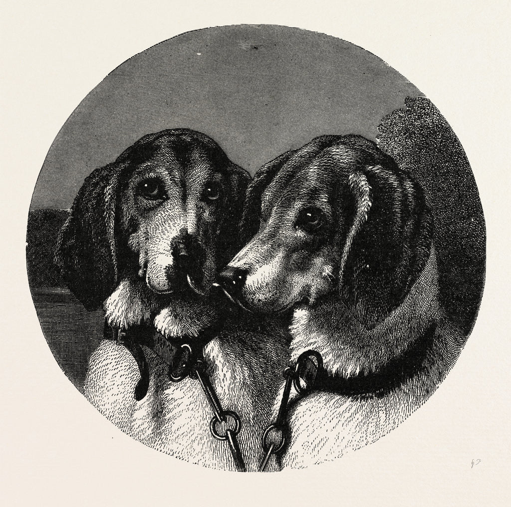 Detail of The Stag-Hounds by Anonymous