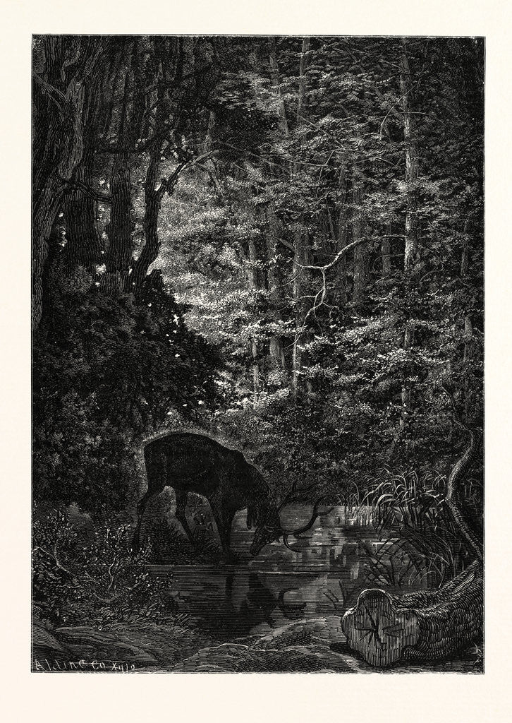 Detail of The Stag at Eve Had Drunk His Fill. by Anonymous