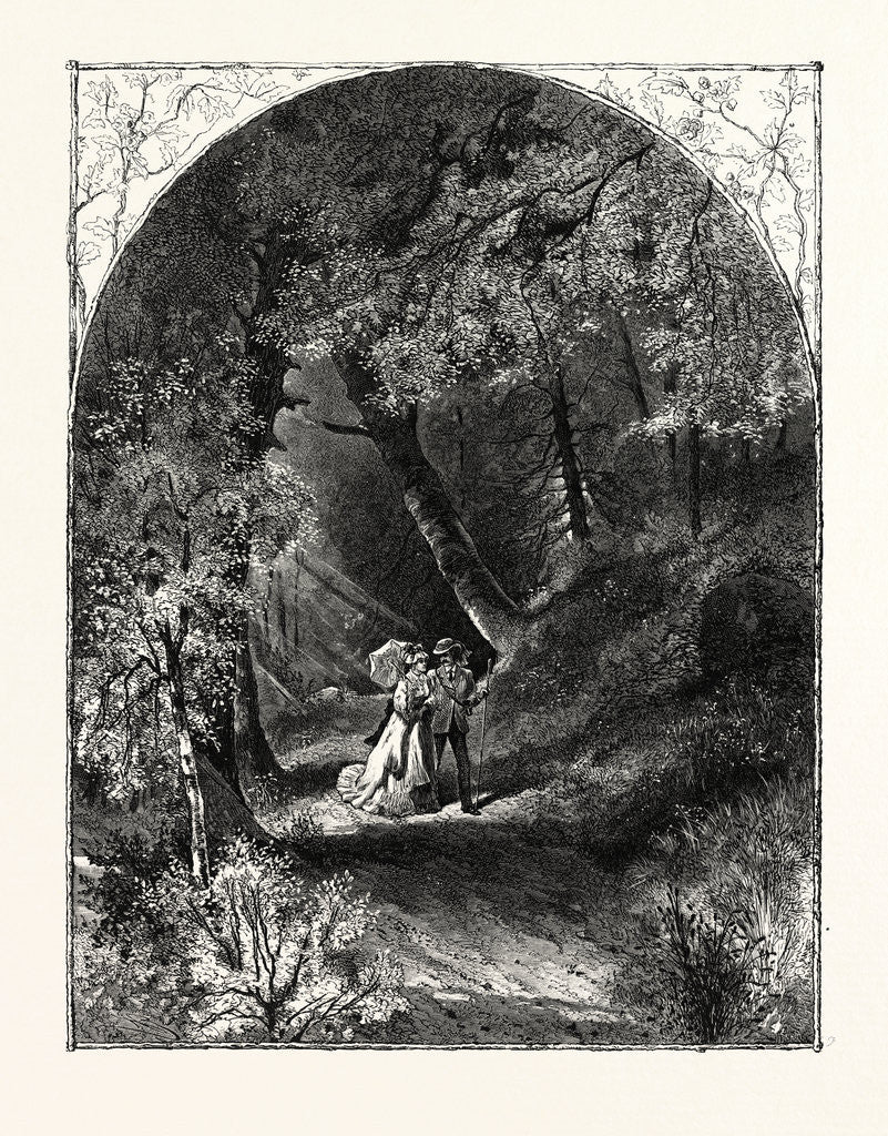 Detail of Lover's Walk, Sawkill Glen, PA, USA by Anonymous