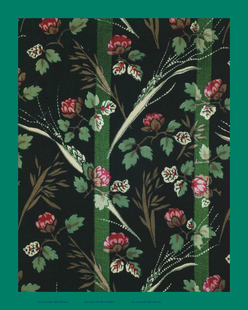 Detail of French Fabrics; First Half of the Nineteenth Century by Anonymous