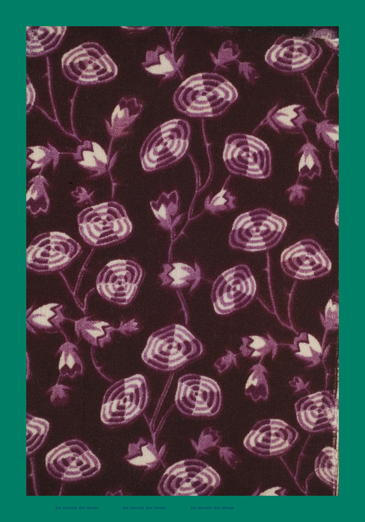 Detail of French Fabrics; First Half of the Nineteenth Century by Anonymous