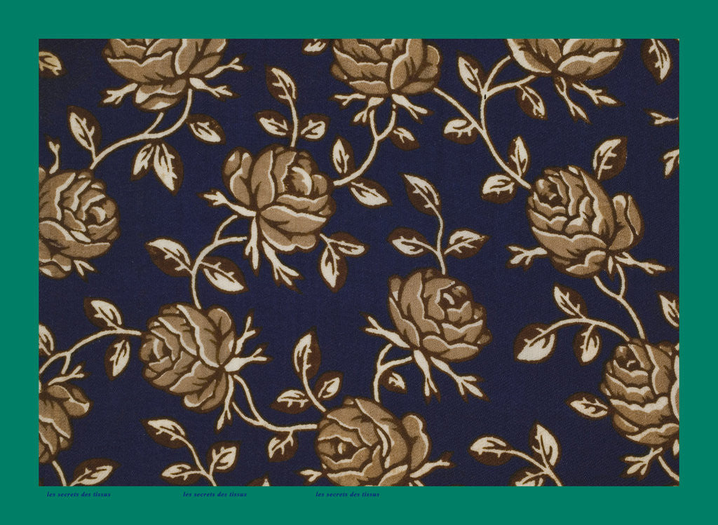 Detail of French Fabrics; First Half of the Nineteenth Century by Anonymous