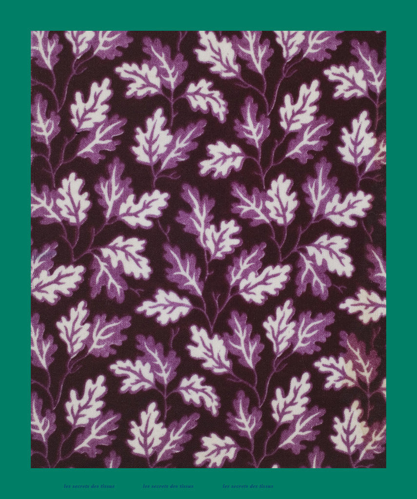 Detail of French Fabrics; First Half of the Nineteenth Century by Anonymous