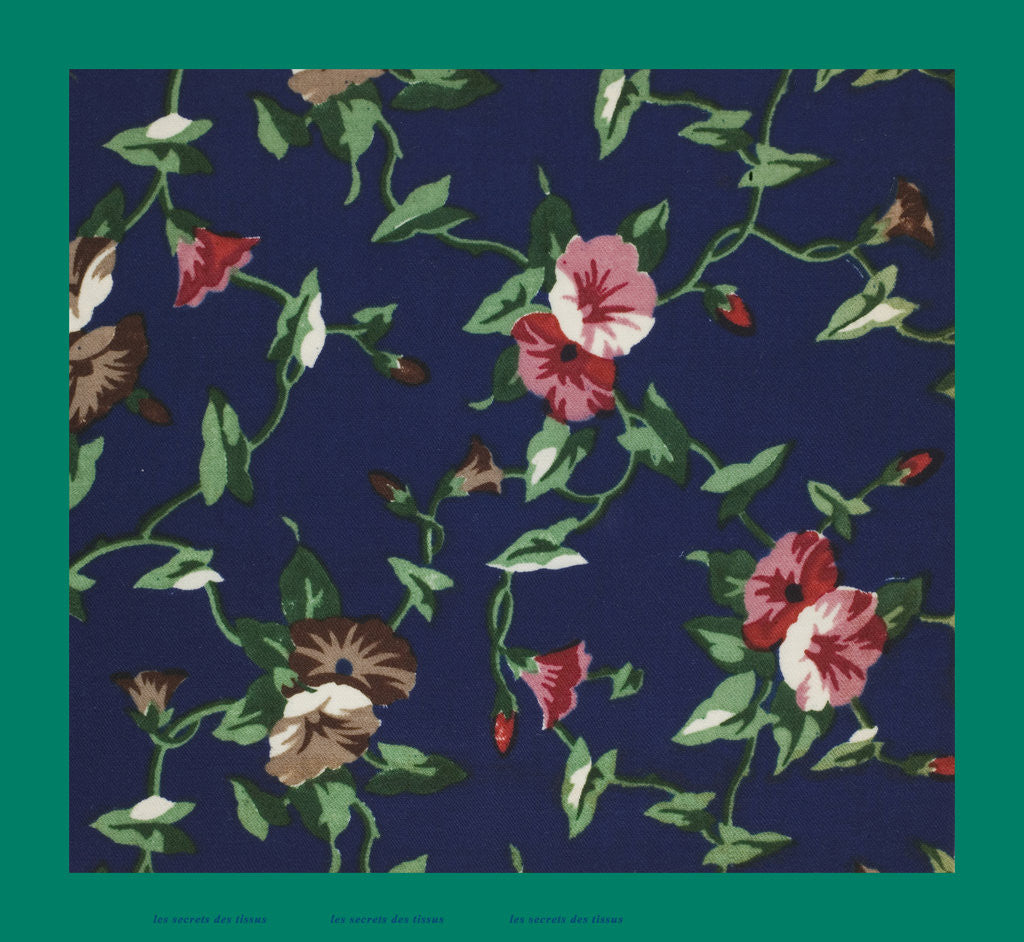 Detail of French Fabrics; First Half of the Nineteenth Century by Anonymous