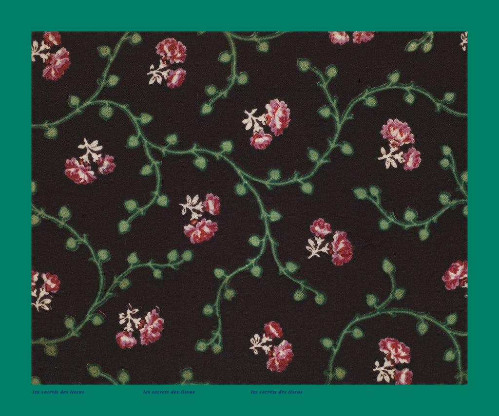 Detail of French Fabrics; First Half of the Nineteenth Century by Anonymous