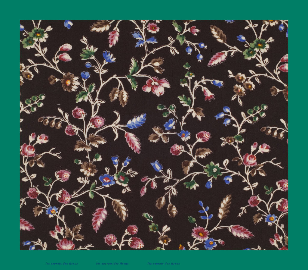 Detail of French Fabrics; First Half of the Nineteenth Century by Anonymous