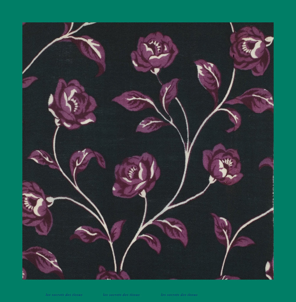 Detail of French Fabrics; First Half of the Nineteenth Century by Anonymous