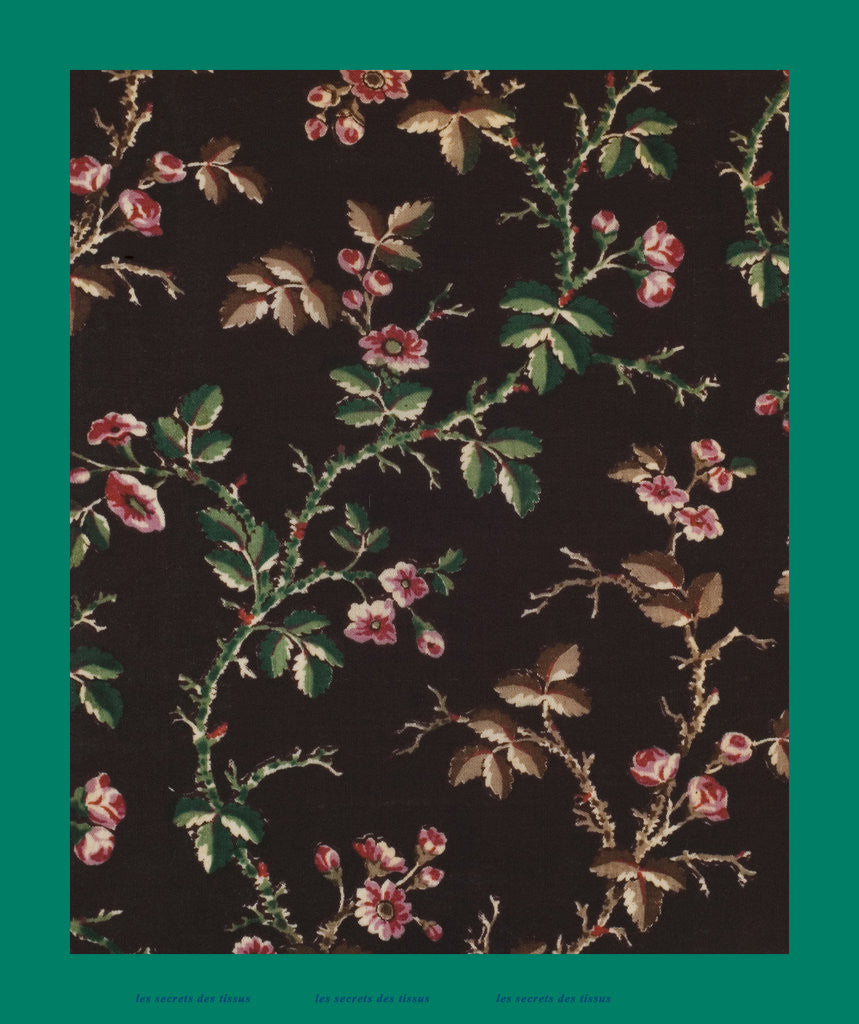 Detail of French Fabrics; First Half of the Nineteenth Century by Anonymous