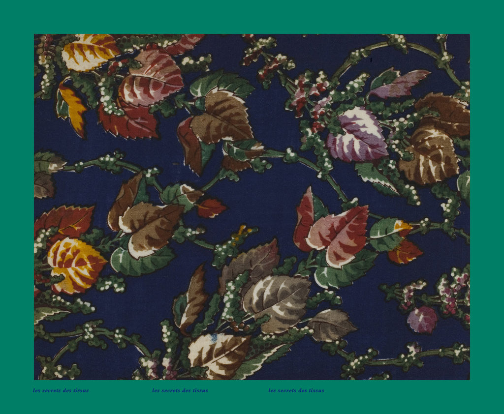Detail of French Fabrics; First Half of the Nineteenth Century by Anonymous