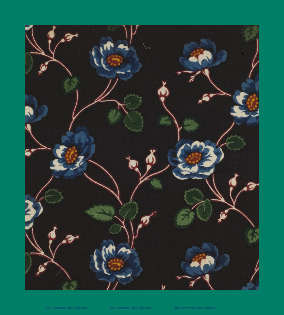 Detail of French Fabrics; First Half of the Nineteenth Century by Anonymous