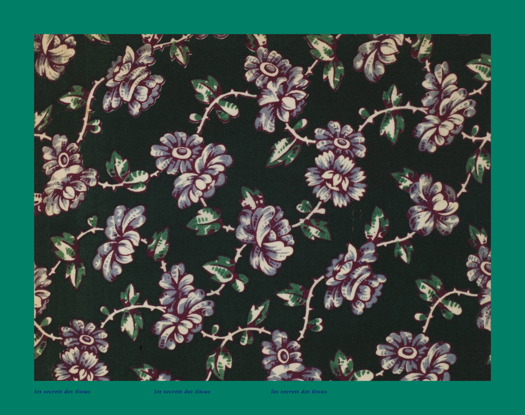 Detail of French Fabrics; First Half of the Nineteenth Century by Anonymous