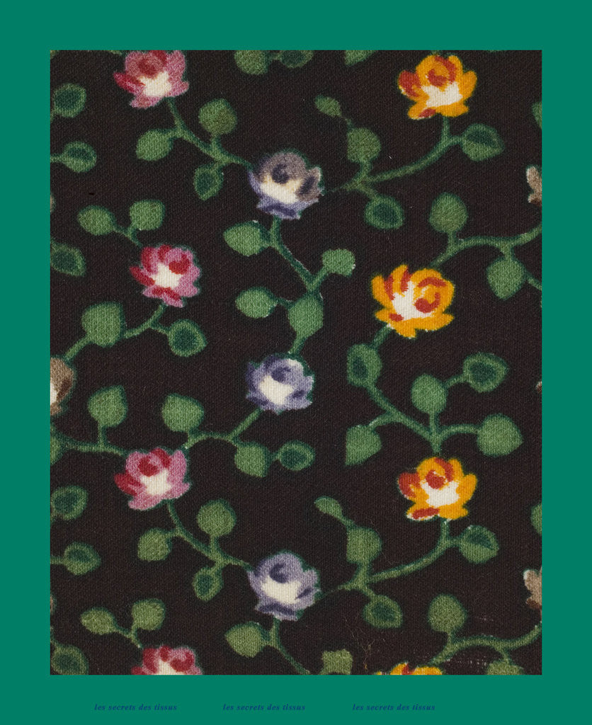 Detail of French Fabrics; First Half of the Nineteenth Century by Anonymous