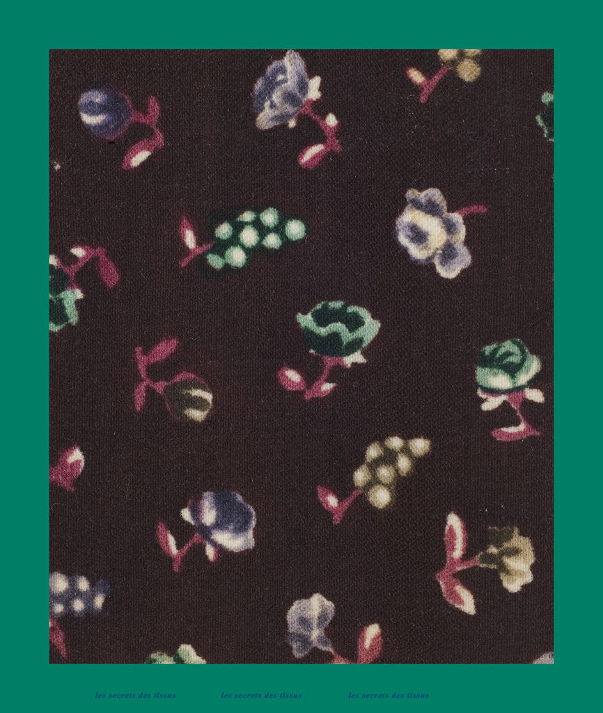 Detail of French Fabrics; First Half of the Nineteenth Century by Anonymous