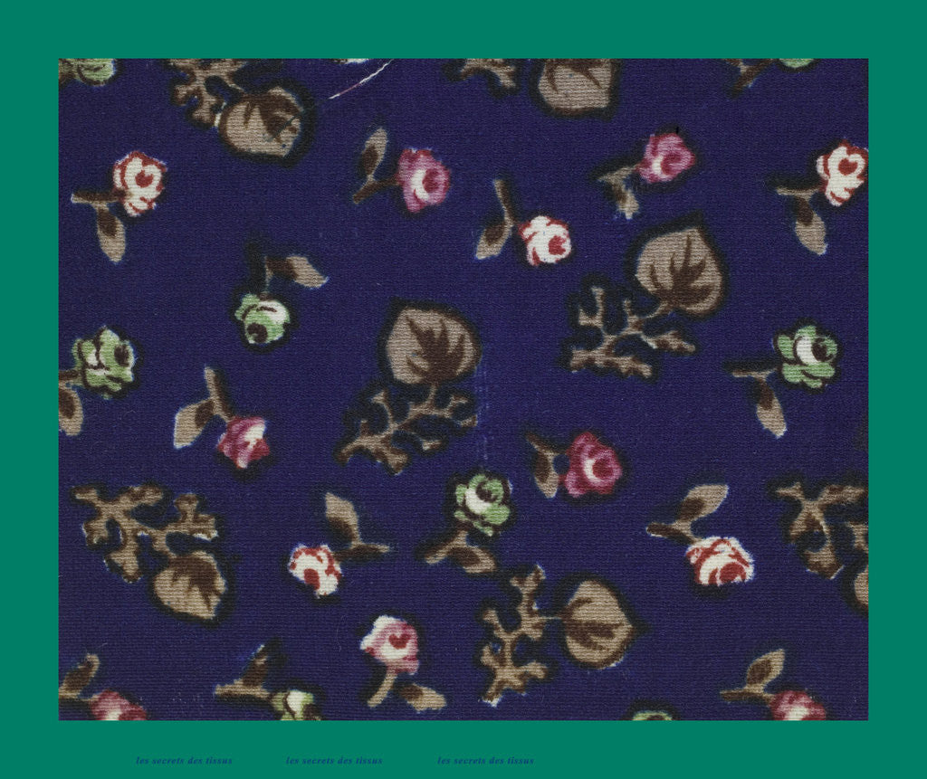 Detail of French Fabrics; First Half of the Nineteenth Century by Anonymous