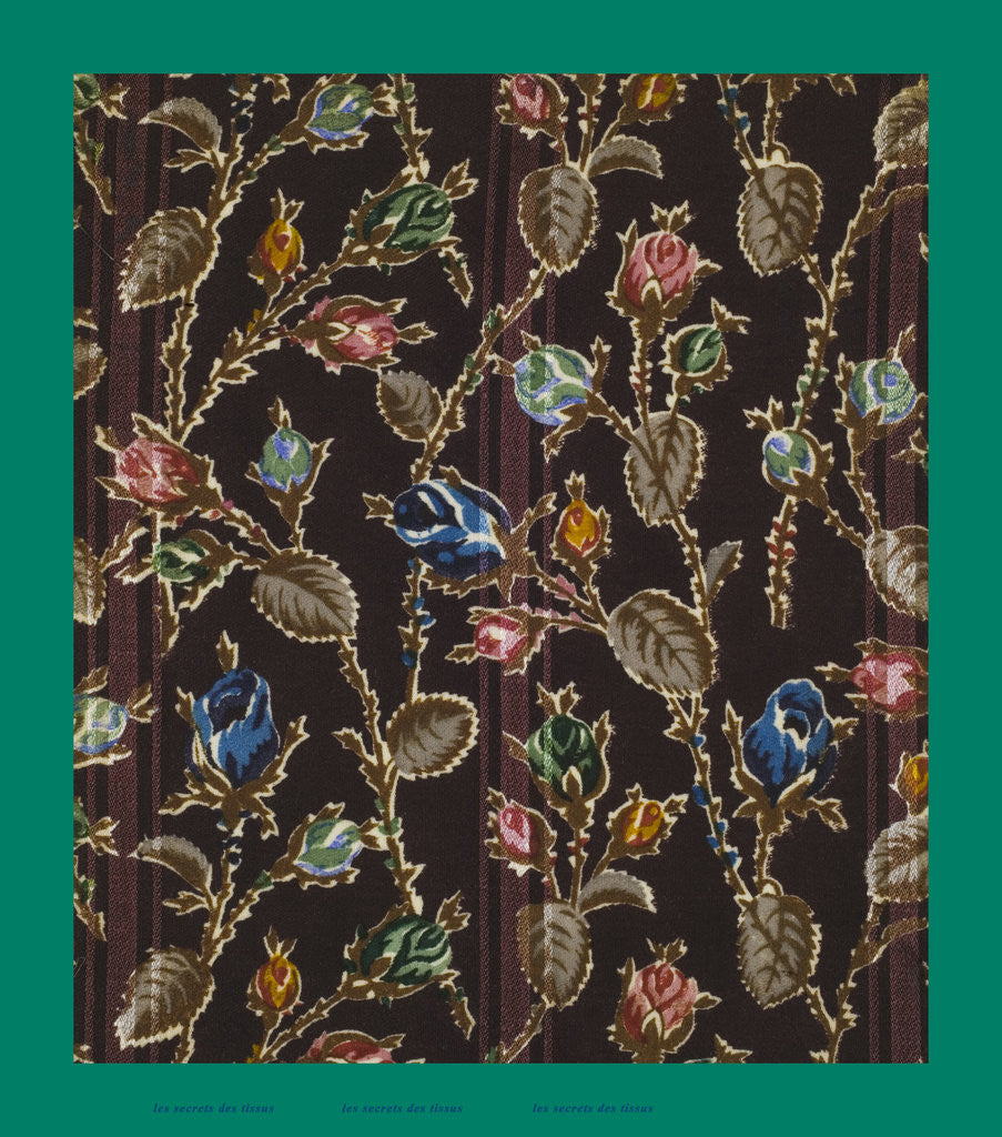 Detail of French Fabrics; First Half of the Nineteenth Century by Anonymous