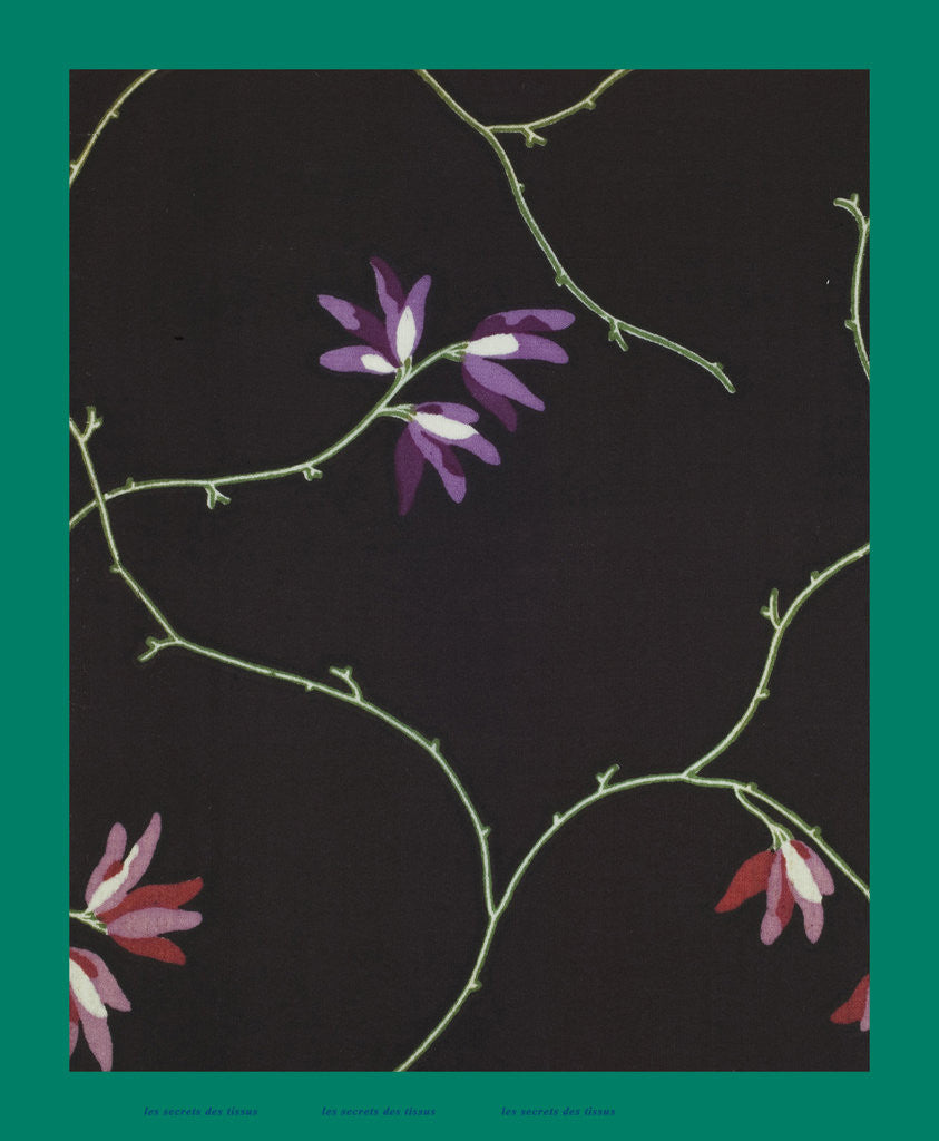 Detail of French Fabrics; First Half of the Nineteenth Century by Anonymous