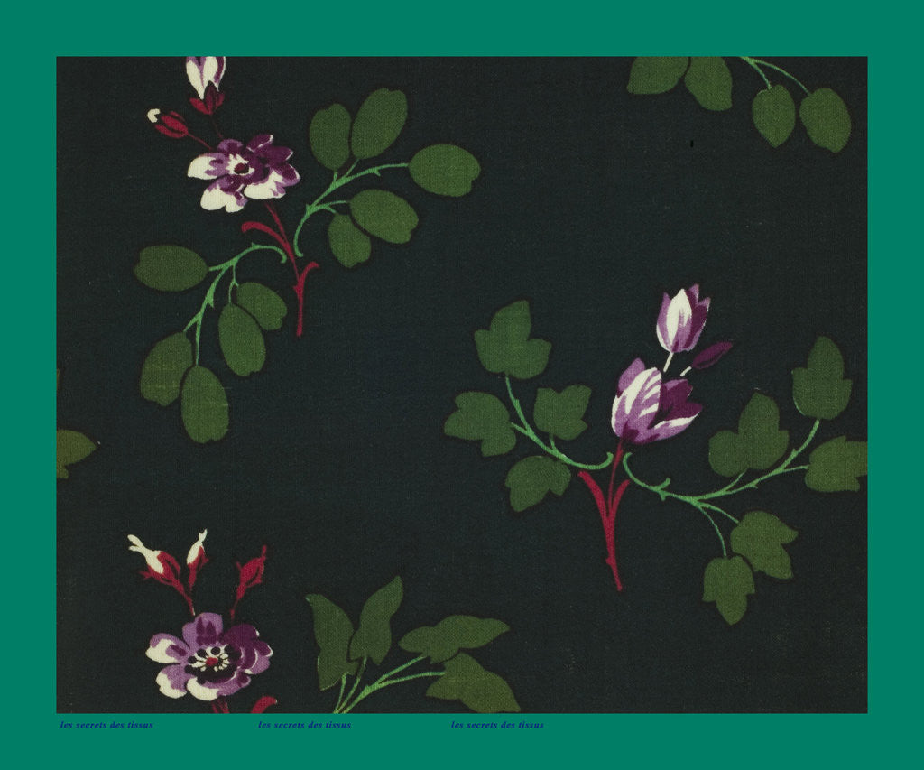 Detail of French Fabrics; First Half of the Nineteenth Century by Anonymous