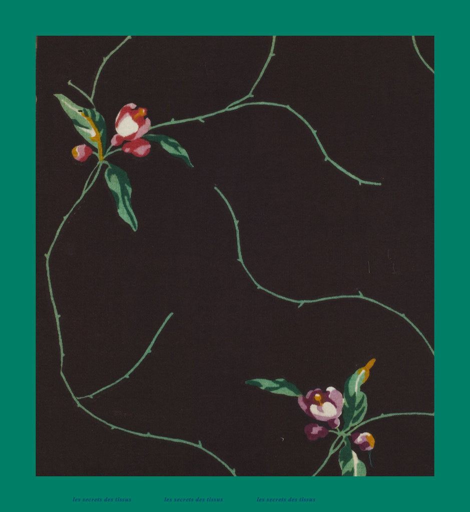 Detail of French Fabrics; First Half of the Nineteenth Century by Anonymous